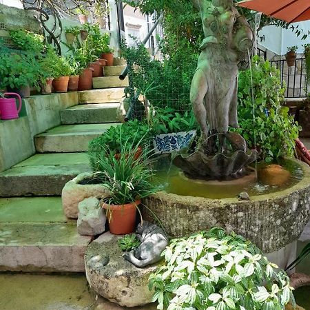 Casa Paco Guest House El Bosque Exterior photo